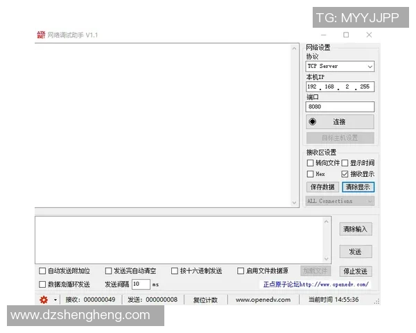 乒乓球新手必看:从零基础到竞技高手的全面入门攻略 乒乓球新手必看:从零基础到竞技高手的全面入门攻略