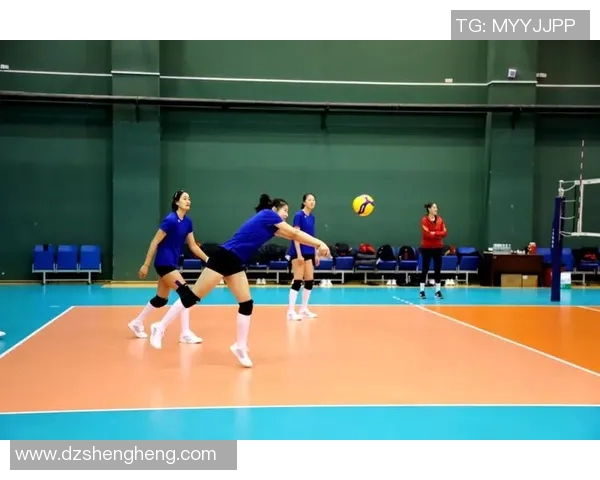 广州排球队展现灵活战术与团队配合的精彩表现分析 广州排球队展现灵活战术与团队配合的精彩表现分析