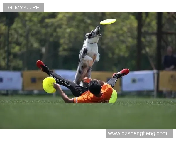 深圳飞盘队在极限运动世界杯中的强势表现与战术分析 深圳飞盘队在极限运动世界杯中的强势表现与战术分析