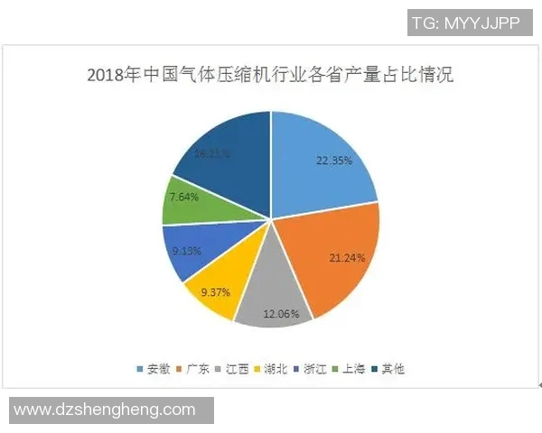 独家解析LNG市场竞争策略与战术对比分析深度剖析