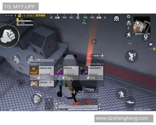 专访和平精英制作人吴娜揭秘游戏成功背后的秘密与策略 专访和平精英制作人吴娜揭秘游戏成功背后的秘密与策略