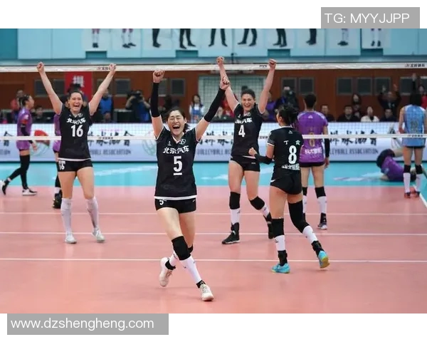 北京排球队团队协作引发热议球迷与专家观点碰撞分析 北京排球队团队协作引发热议球迷与专家观点碰撞分析