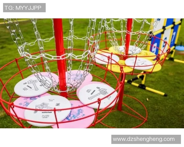 成都飞盘队运营策略深度分析与发展前景展望