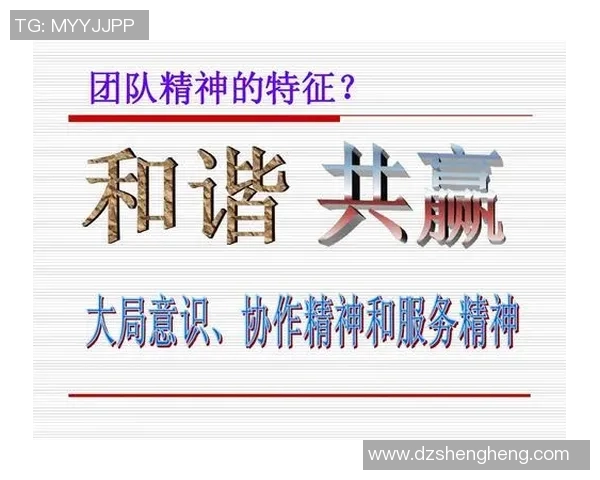 成都排球队的默契配合与战术解析探讨排球运动的魅力与团队精神