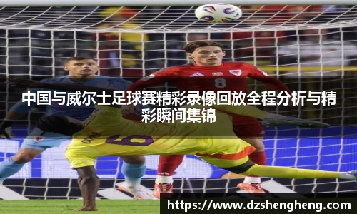 中国与威尔士足球赛精彩录像回放全程分析与精彩瞬间集锦